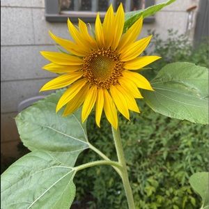 Meet your Posher, Rhiley